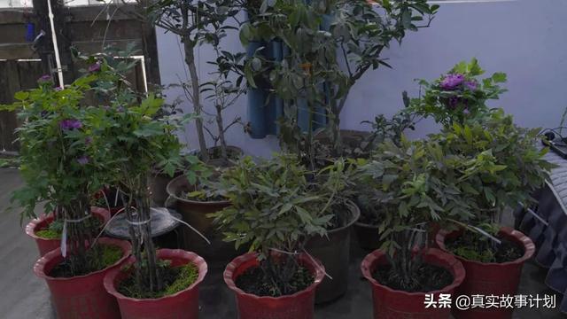 走红一年后，“拉面哥”程运付仍是拉拉面的厨子