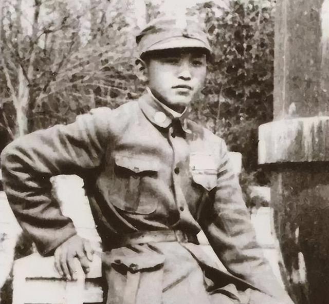 开国少将宣传华国锋,被认为存在政治问题,叶剑英:同意王震意见