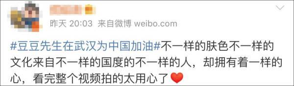 独自留武汉，“豆豆先生”：我留下来就是支持