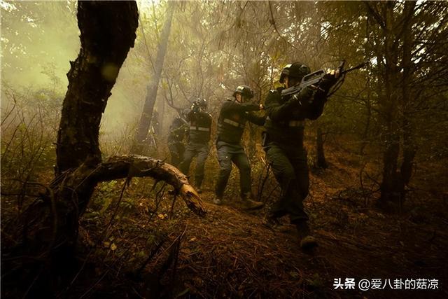 五部未播先火的军旅剧，一部比一部有看头，有你期待已久的吗？