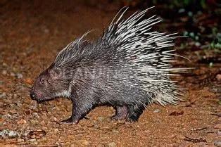 山海经密码:真正的山海经世界,是否真的存在过