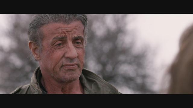 最新欧美电影第一滴血5：最后的血