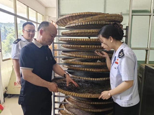 贵州黔南：“都匀毛尖”留香久 “一芽一叶”总关情