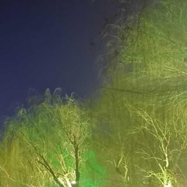 长安米贵，居大不易