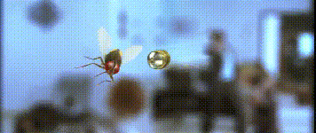 印度一个很神奇的国家，11部印度良心片