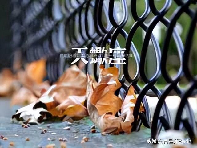 天蝎座的拼搏人生