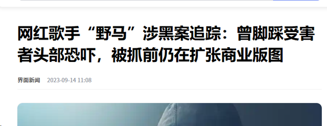 身患精神病、捞金无下限、锒铛入狱，这三位草根歌手现状令人唏嘘