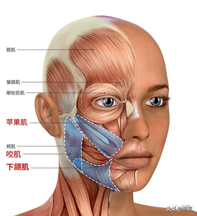 韩国顶级女星do脸，do成了张雨绮第二？也太恐怖了…