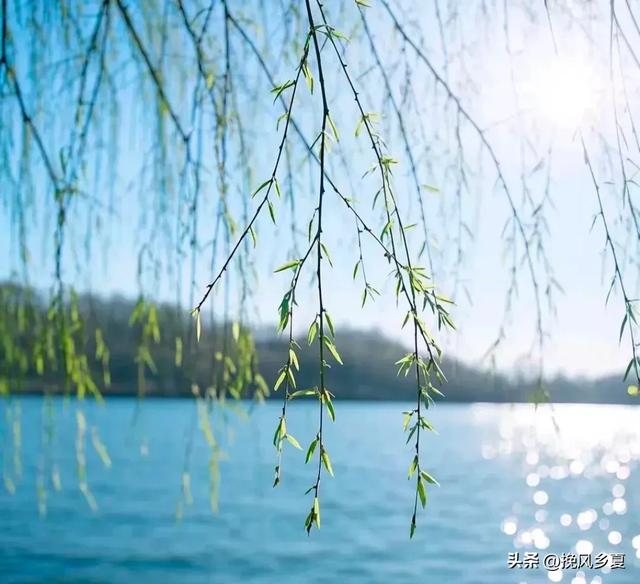 “七九见三象，农民一年闲”，今日七九第一天，“三象”指啥？