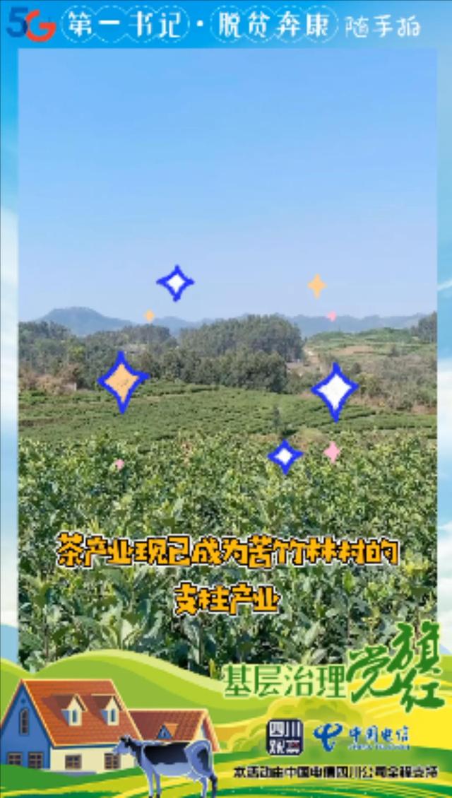 第一书记随手拍㊱乐山苦竹林村：“茶叶书记”告诉你苦竹林不苦