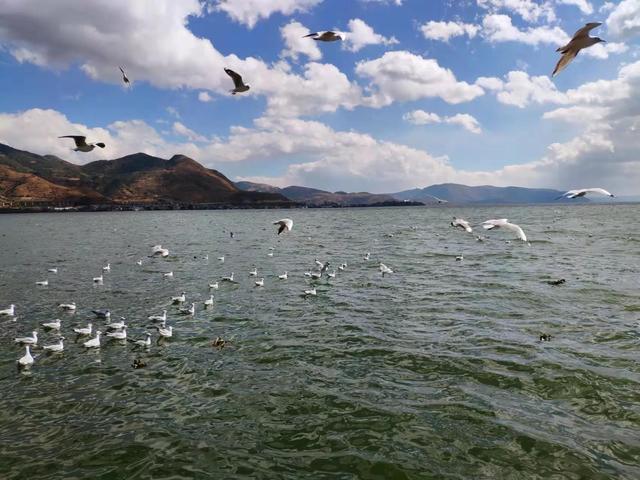 洱海不是海