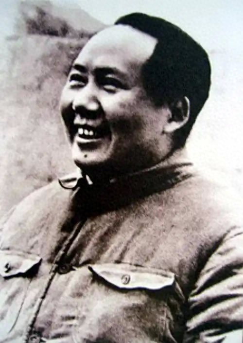 毛主席突然来电，王震以为有大事，毛主席：王胡子！你啥时来看我