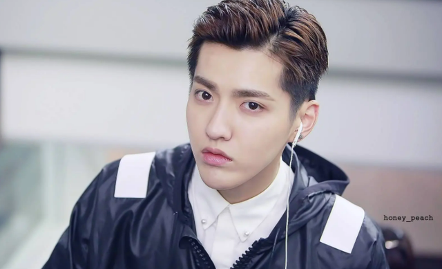 还记得1年前因为私生活混乱被抓的吴亦凡吗?要坐牢了