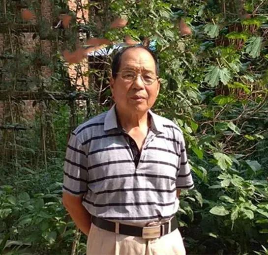 过年的那些记忆