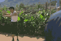 驼个背，抖个肩！张嘉译重新定义了什么叫萌大叔、什么叫真土豪