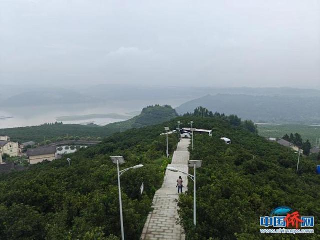 海外华媒重庆行:追寻嘉庚足迹 感受西部发展活力