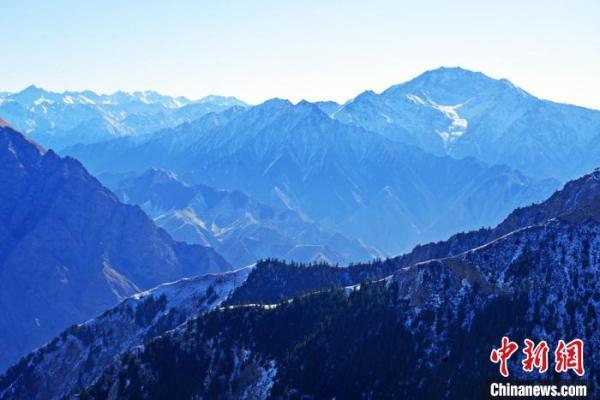 祁连山下冬雪皑皑牛羊漫步景如画