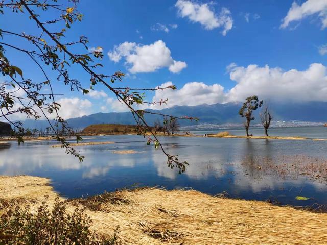 洱海不是海