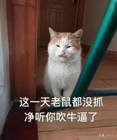 韩国顶级女星do脸，do成了张雨绮第二？也太恐怖了…