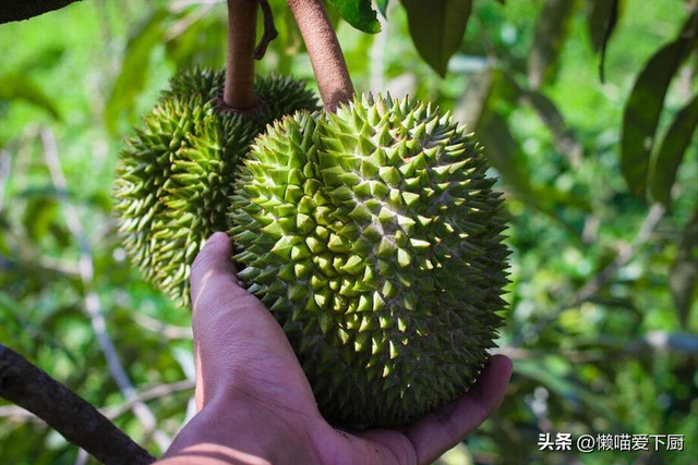 榴莲价格“腰斩”，100元买5个，为何吃的人还少了？3个方面原因