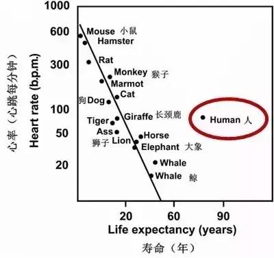 运动员有几个长寿的？你可能真的错了哦！
