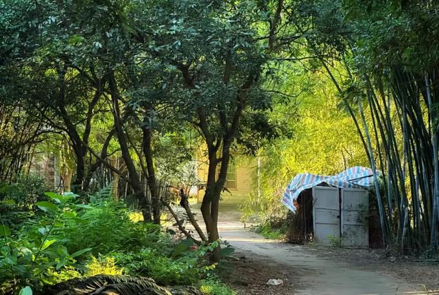 19岁少女和蛇的奇妙情缘：一场超越寻常的情感奇遇