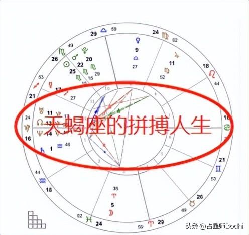 天蝎座的拼搏人生