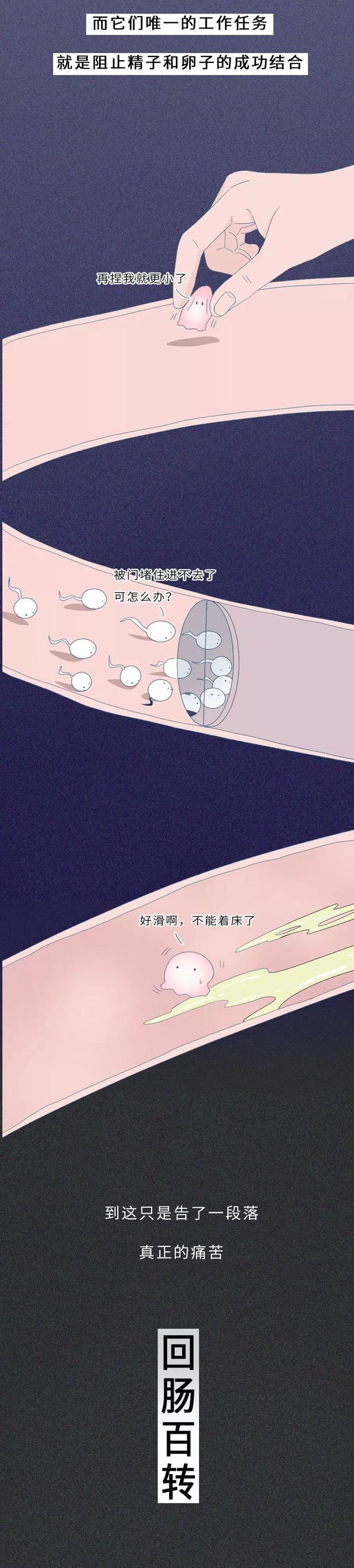 一张图告诉你“节育环”在女性体内的20年，没人能笑着看完