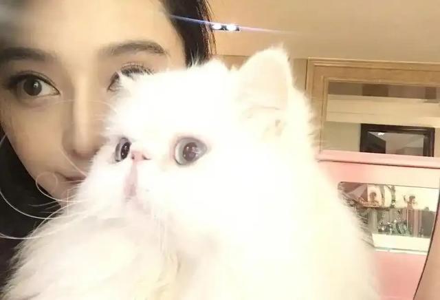 44 岁范冰冰素颜撸猫，红秋裤配卫衣在自家豪宅放飞自我