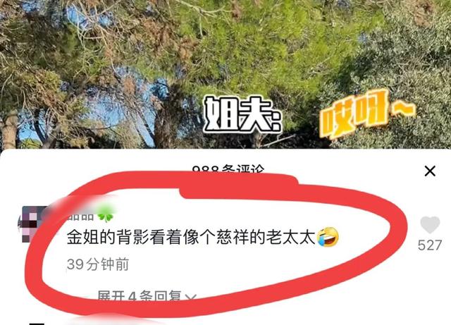 54岁金星与老公秀恩爱，靠汉斯肩膀好甜，网友：像个慈祥的老太太