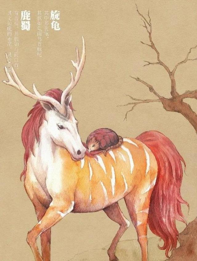 山海经密码:真正的山海经世界,是否真的存在过