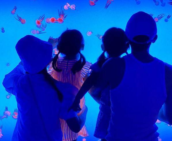 40岁谢娜给女儿们做菜,素颜状态好,生完二胎恢复佳,被夸好贤惠