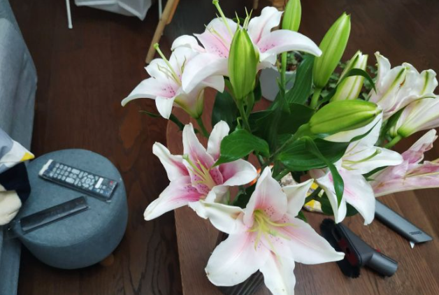 27岁女白领曝光私生活：纵欲上瘾，正在榨干当代年轻人