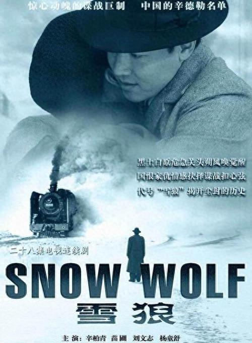 “狼来了！”这几部以狼为名的谍战剧各有特色但优劣不同！