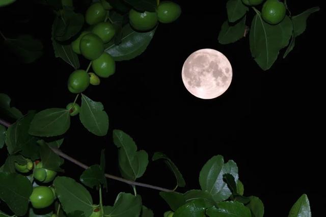 100年仅6次!我们有幸遇到了,高清美图