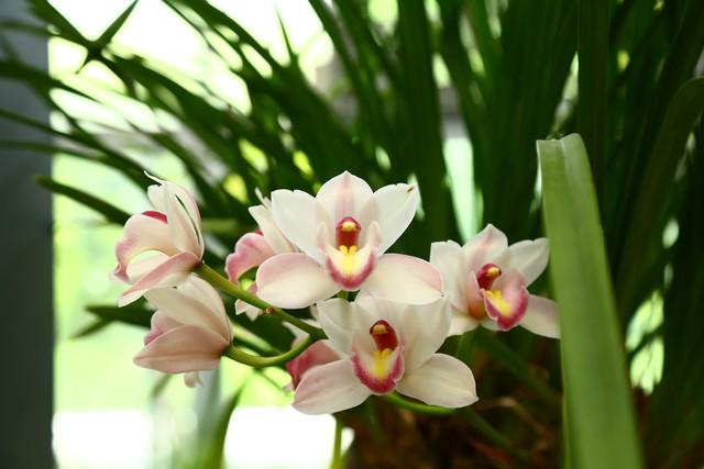 人老了没有钱，不能动，子女会烦吗