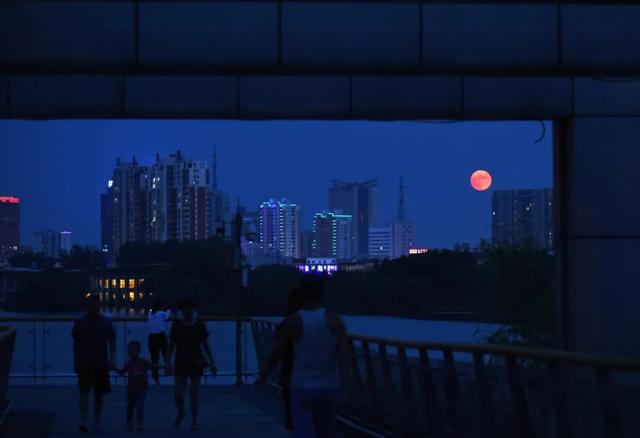 100年仅6次!我们有幸遇到了,高清美图