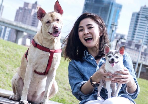 还记得《放羊的星星》欧雅若吗？曾是荧屏女神，41岁身材如少女