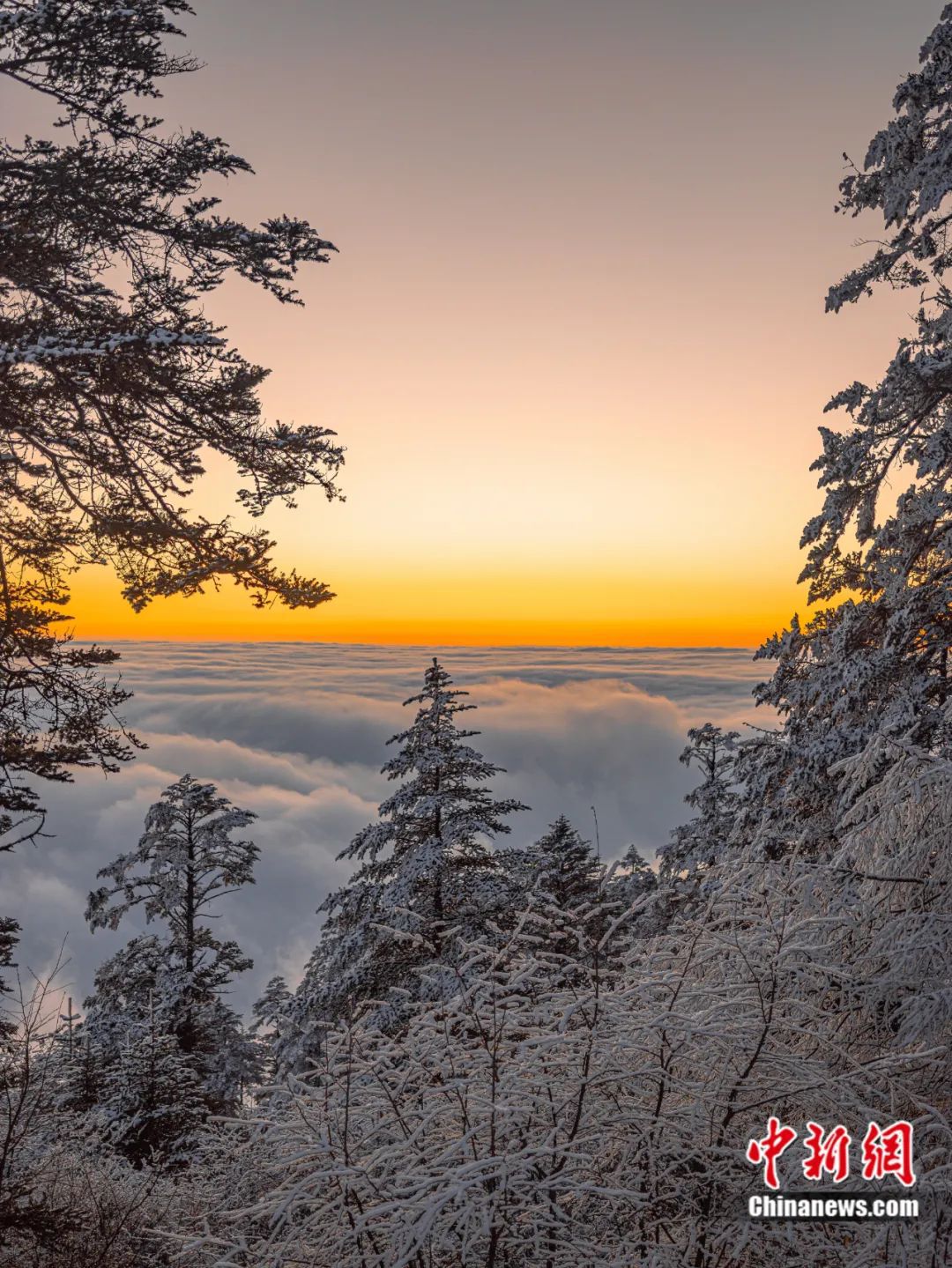 人这一辈子,一定要在冬天去一趟四川!