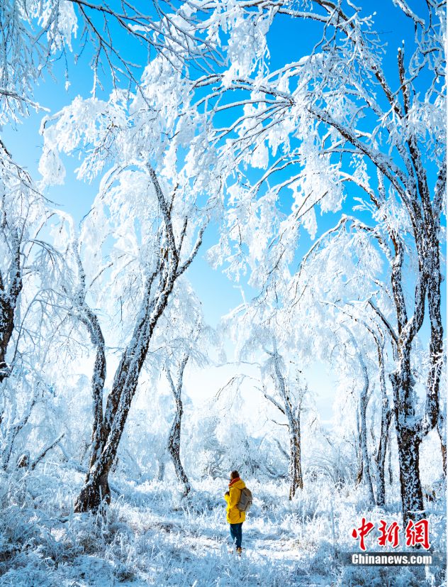 人这一辈子,一定要在冬天去一趟四川!