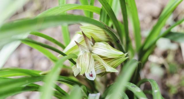 人老了没有钱，不能动，子女会烦吗