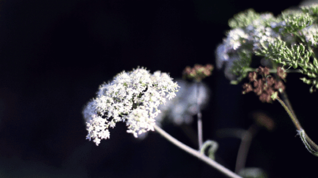 听李健的歌,被温柔治愈