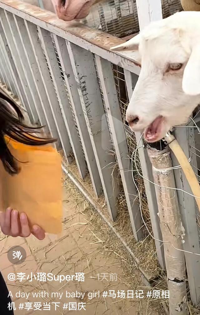 【独家爆料】李小璐出轨!网友疯狂传播,全网陷入炸开的状态!