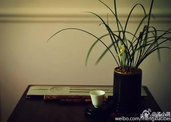 听李健的歌,被温柔治愈