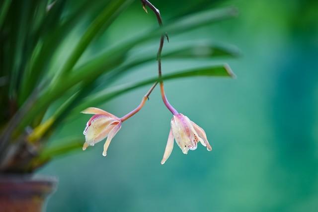 人老了没有钱，不能动，子女会烦吗