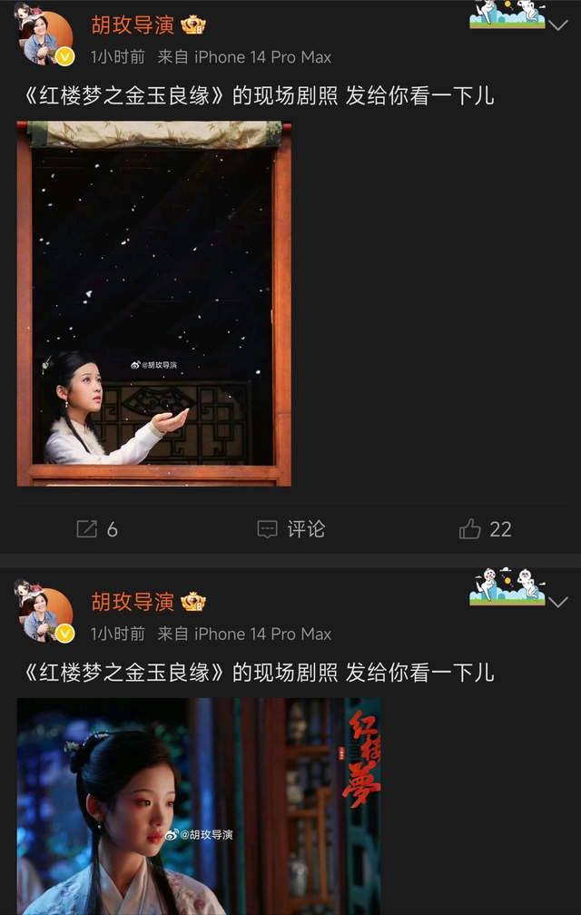 《红楼梦》巨亏2亿,导演胡玫破防了:我眼瞎?这黛玉不好看?