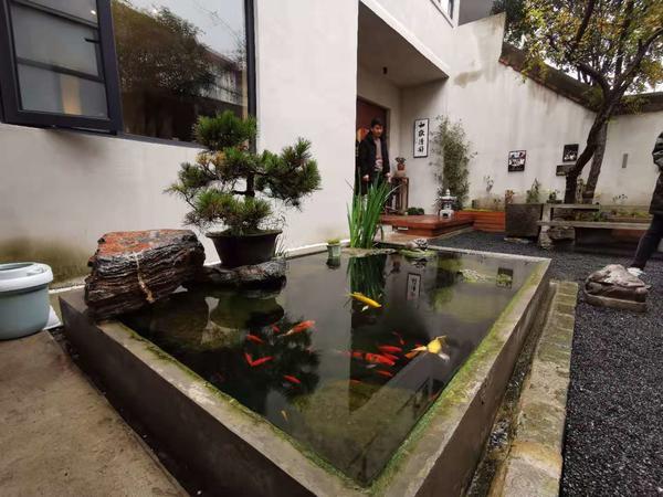 文明花开遍中原丨信阳：宜居之城如何摘得“文明城市”招牌？