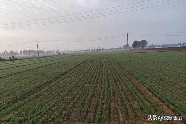 乡村故事：良家妇女