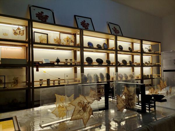 文明花开遍中原丨信阳：宜居之城如何摘得“文明城市”招牌？