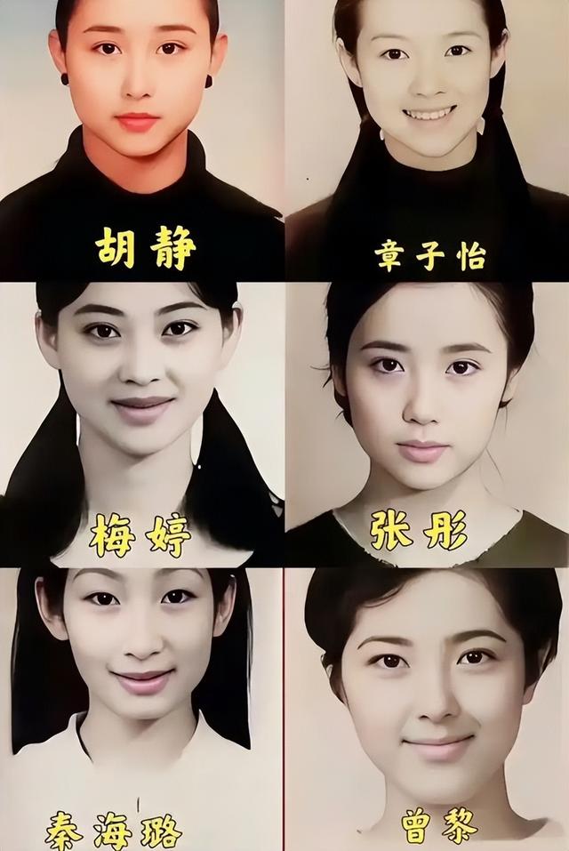 梅婷:从中戏退学的叛逆狠人,却成了荧幕上的贤妻良母